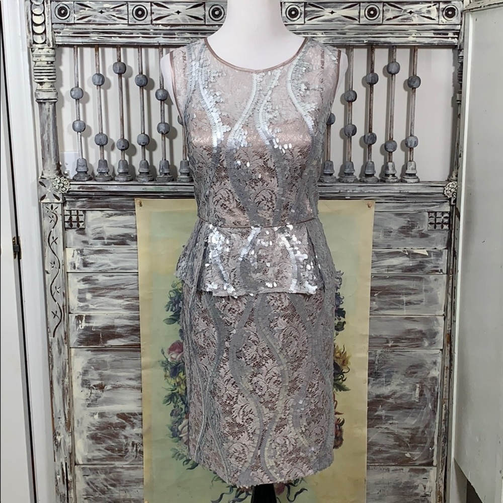 Adrianna Papell Dress, Sz 16